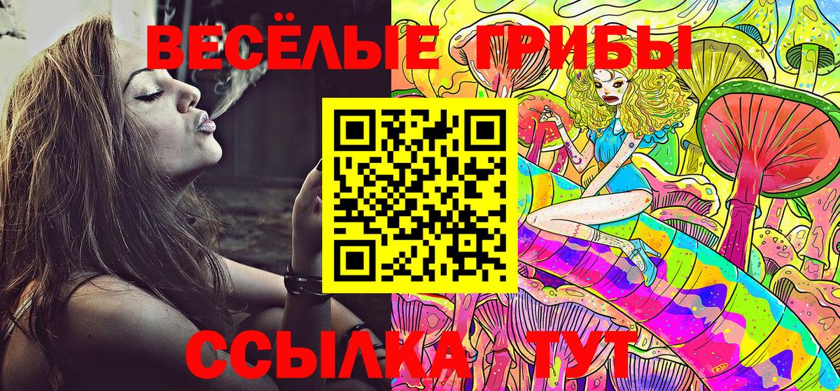 Псилоцибиновые грибы Magic Shrooms  Вход с VPN  Лосино-Петровский 